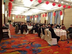 2015 積蓄力量，2016 大勝歸來